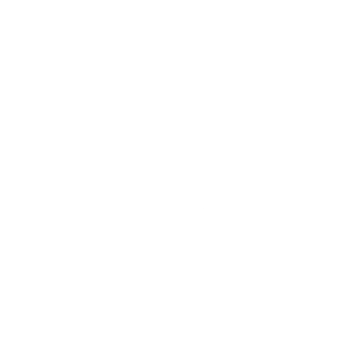 Ernst Young